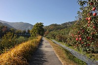 姫路市の不動産（中古・新築物件・土地）なら三ツ星住建（兵庫）