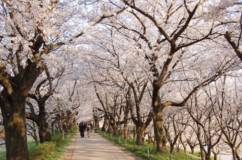 姫路市の不動産（中古・新築物件・土地）なら三ツ星住建（兵庫）