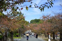 姫路市の不動産（中古・新築物件・土地）なら三ツ星住建（兵庫）