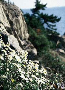 姫路市の不動産（中古・新築物件・土地）なら三ツ星住建（兵庫）