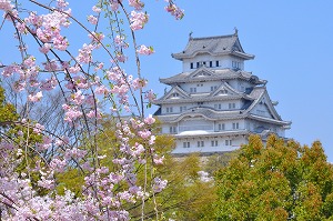 姫路市の不動産（中古・新築物件・土地）なら三ツ星住建（兵庫）