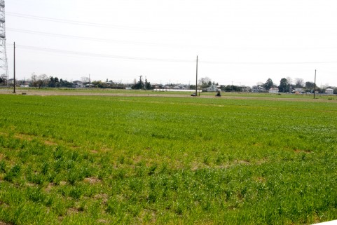 姫路市の不動産（中古・新築物件・土地）なら三ツ星住建（兵庫）