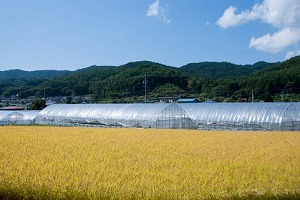 姫路市の不動産（中古・新築物件・土地）なら三ツ星住建（兵庫）