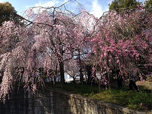 姫路市の不動産（中古・新築物件・土地）なら三ツ星住建（兵庫）