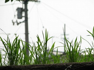 姫路市の不動産（中古・新築物件・土地）なら三ツ星住建（兵庫）